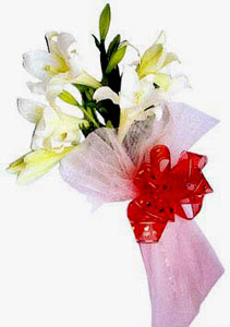  Ankara �i�ek , �i�ek�i , �i�ek�ilik  ince vazoda gerbera ve ayi