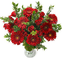 5 adet kirmizi g�l 5 adet gerbera aranjmani  Ankara �nternetten �i�ek sipari�i 