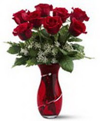 8 adet k�rm�z� g�l sevgilime hediye  Ankara hediye �i�ek yolla 