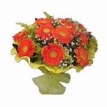  Ankara �i�ek yolla  11 adet se�me gerbera �i�egi