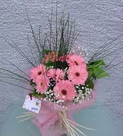  Ankara �nternetten �i�ek sipari�i  Pembe gerbera mevsim �i�ekleri
