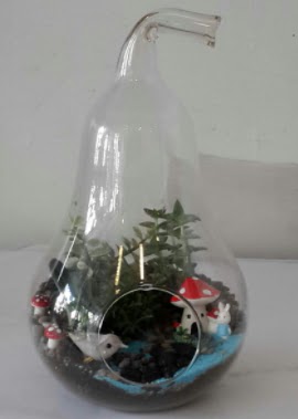 Armut orta boy cam terrarium  Ankara hediye �i�ek yolla 