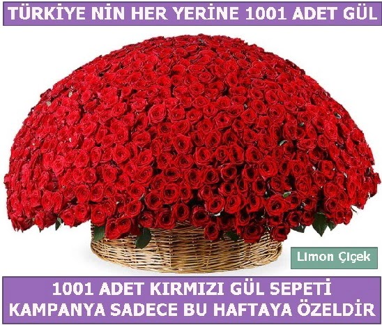 1001 Adet k�rm�z� g�l Bu haftaya �zel  Ankara hediye �i�ek yolla 