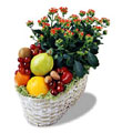  Ankara hediye çiçek yolla  meyva sepeti ve kalanche