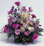  Ankara çiçek online çiçek siparişi  oyuncak ve mevsim çiçekleri