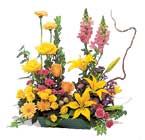 kaliteli ve estetik özel aranjman   Ankara online çiçek gönderme sipariş 