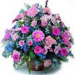 karisik mevsim kir çiçekleri  Ankara çiçek gönderme sitemiz güvenlidir 