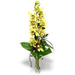  Ankara hediye iek yolla  cam vazo ierisinde tek dal canli orkide