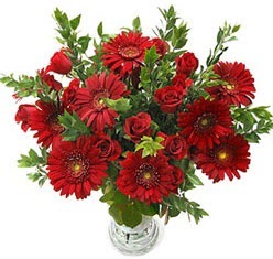5 adet kirmizi g�l 5 adet gerbera aranjmani  Ankara �nternetten �i�ek sipari�i 
