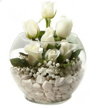 11 adet beyaz gül cam fanus çiçeği  Ankara çiçek mağazası , çiçekçi adresleri 