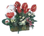  Ankara yurtiçi ve yurtdışı çiçek siparişi  Lilyum ve oyuncakli arajman 