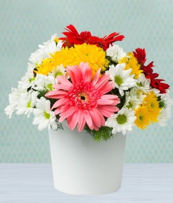 Seramik Vazoda Gelbera ve Papatya  Ankara çiçek gönderme 
