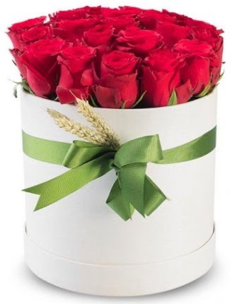 Özel kutuda 25 adet kırmızı gül çiçeği  Ankara çiçek satışı 